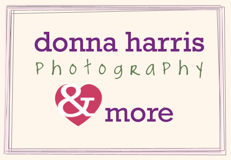 Donna Harris Photography logo